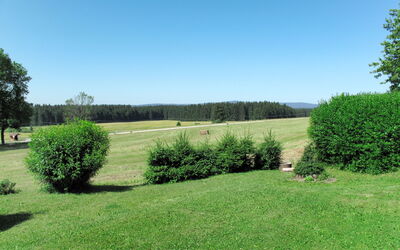 Lipno (Plk100)