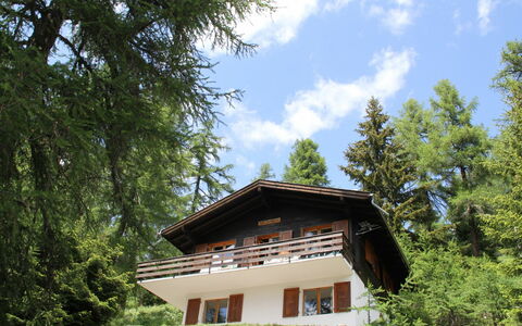 Chalet Soldanella (Bel205): Lucht, Fabriek, Wolk, Boom, Natuurlijk Landschap, Hout, Venster, Gras, Huis, Siding