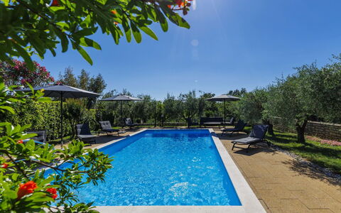 Sandra: Blauw, Zwembad, Toevlucht, Eco Hotel, Tuin, Buitenmeubels, Landscaping, Landgoed, Hacienda, Ligstoel