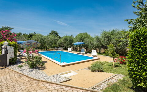 Sandra: Fabriek, Lucht, Water, Gebouw, Zwembad, Boom, Schaduw, Land Lot, Stoel, Condominium