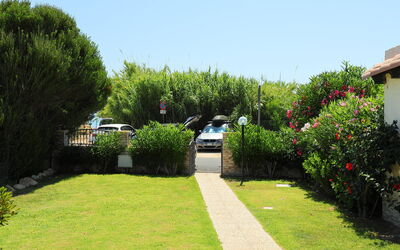 Mirto Marino (Rei410)