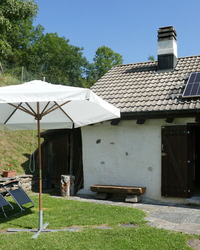 Rustico Girasole