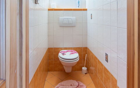 Karasova Ii: Wc Bril, Flooring, Muur, Verdieping, Toilet, Badkamer, Loodgieterswerkinrichting, Interieur Ontwerp, Tegel, Loodgieter