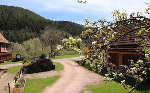 Backhäusle: Wolk, Fabriek, Lucht, Gebouw, Berg, Natuur, Natuurlijk Landschap, Huis, Land Lot, Boom