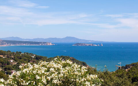 Xarmada Cecilia: Lucht, Vegetation, Zee, Kust, Blauw, Voorgebergte, Headland, Azure, Kust En Oceanic Landvormen, Baai