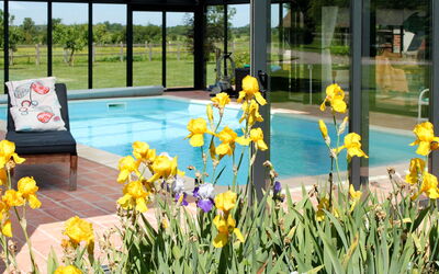 Corbon 601: Bloem, Fabriek, Water, Plantkunde, Geel, Gras, Schaduw, Zwembad, Landschap, Petal