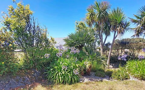 Ker Laouen: Vegetation, Struik, Plantengemeenschap, Bloeiende Plant, Tuin, Woody Plant, Shrubland, Botanische Tuin