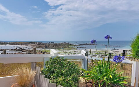 Ti an Aod: Blauw, Zee, Kust, Oceaan, Tuin, Kust, Landscaping, Bloempot, Kamerplant