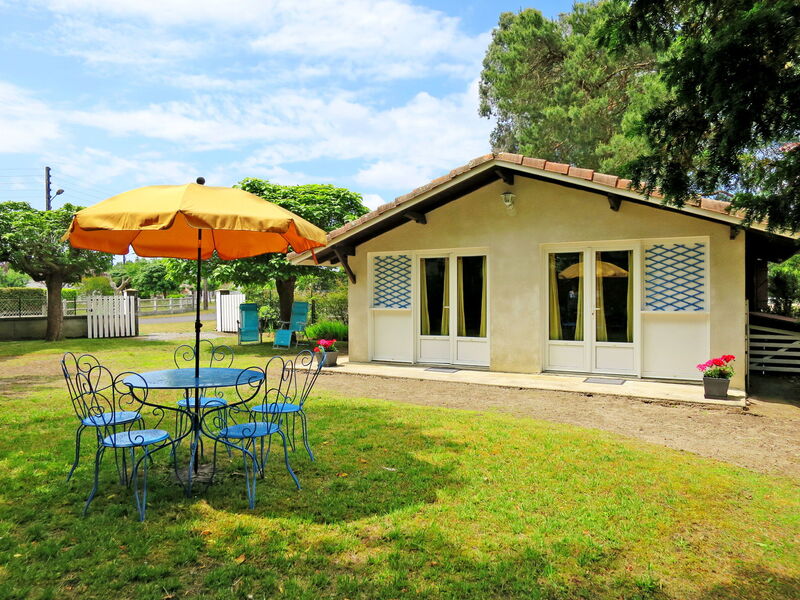 Catalpas (Lix111)