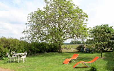 Les Mailloches - Lossay, Centre, Frankrijk