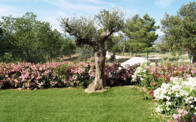 Roquebrune sur Argens 624