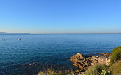 Ajaccio 604