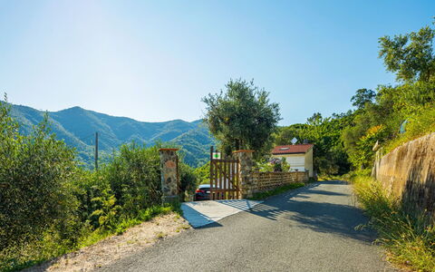 Casa Nueva: Lucht, Fabriek, Azure, Weg Oppervlak, Asfalt, Land Lot, Natuurlijk Landschap, Helling, Boom, Berg