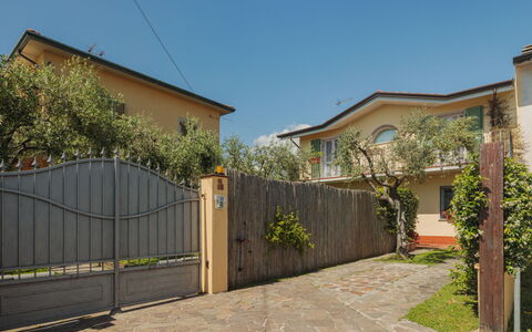 Giuliana: Lucht, Fabriek, Gebouw, Schaduw, Weg Oppervlak, Huis, Land Lot, Boom, Hek, Hout