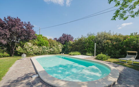 Villa Ulivo: Water, Lucht, Fabriek, Eigendom, Wolk, Zwembad, Natuur, Plantkunde, Azure, Architectuur