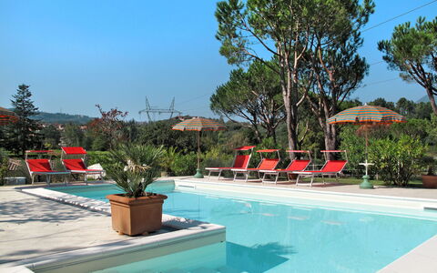 Verde Versilia: Water, Fabriek, Lucht, Eigendom, Zwembad, Azure, Boom, Schaduw, Buitenmeubels, Bloempot