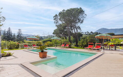 Verde Versilia: Water, Wolk, Lucht, Fabriek, Dag, Bloem, Zwembad, Natuur, Boom, Bloempot
