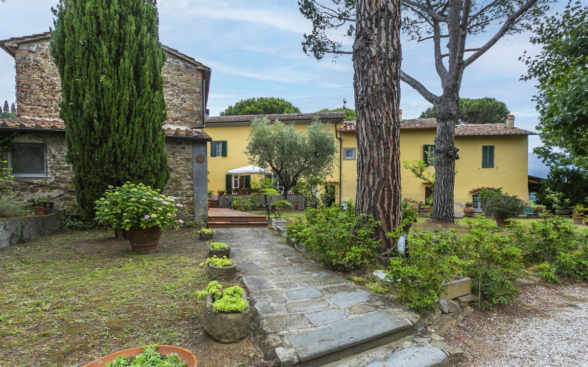 Monsummano Terme 604