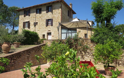 Il Sangiovese: Fabriek, Eigendom, Huis, Woongebied, Onroerend Goed, Gebouw, Struik, Tuin, Huis, Dak