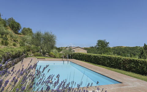 Amos: Water, Fabriek, Lucht, Zwembad, Natuur, Azure, Natuurlijk Landschap, Boom, Vegetation, Land Lot