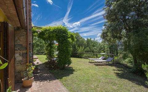 Podere Gabruccino: Fabriek, Lucht, Wolk, Schaduw, Boom, Land Lot, Bloempot, Natuurlijk Landschap, Gras, Struik