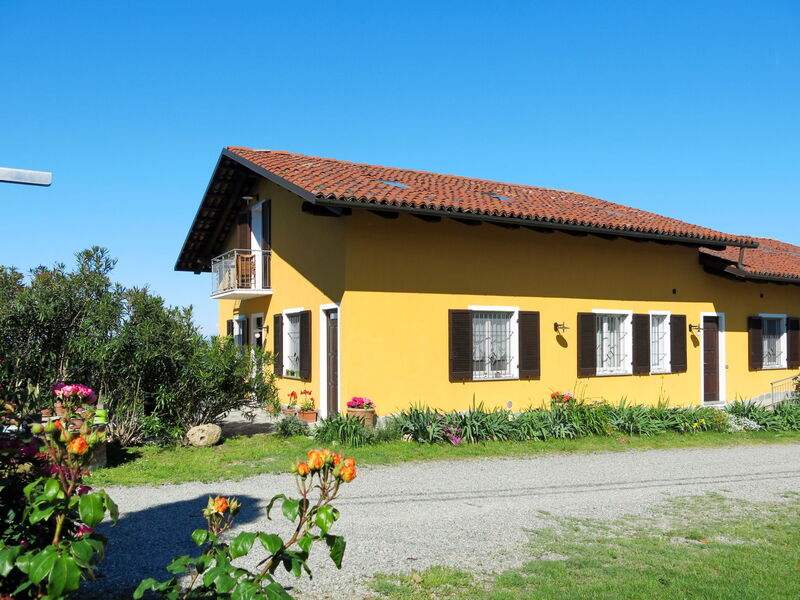Vinchio 604
