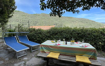 Accommodatie:&nbsp;Asplanato (Dol162) 663.3