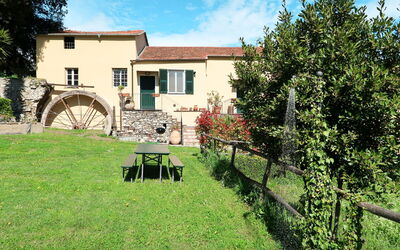 Il Gelsomino (Imp276)