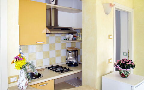Accommodatie:&nbsp;Joy (Imp521) 634.3