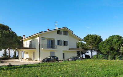 Pineto 636