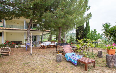 Pineto 636
