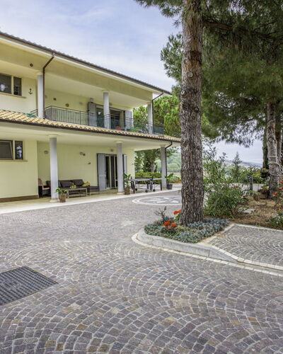Pineto 636
