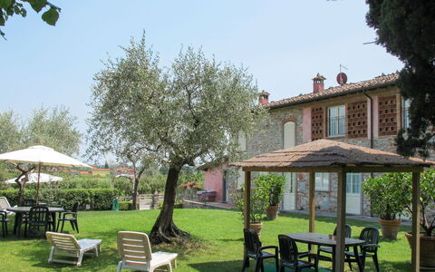 Lucca 657: Buitenmeubels, Struik, Huis, Buitentafel, Meubilair, Huis, Tuin, Gazon, Backyard, Landgoed