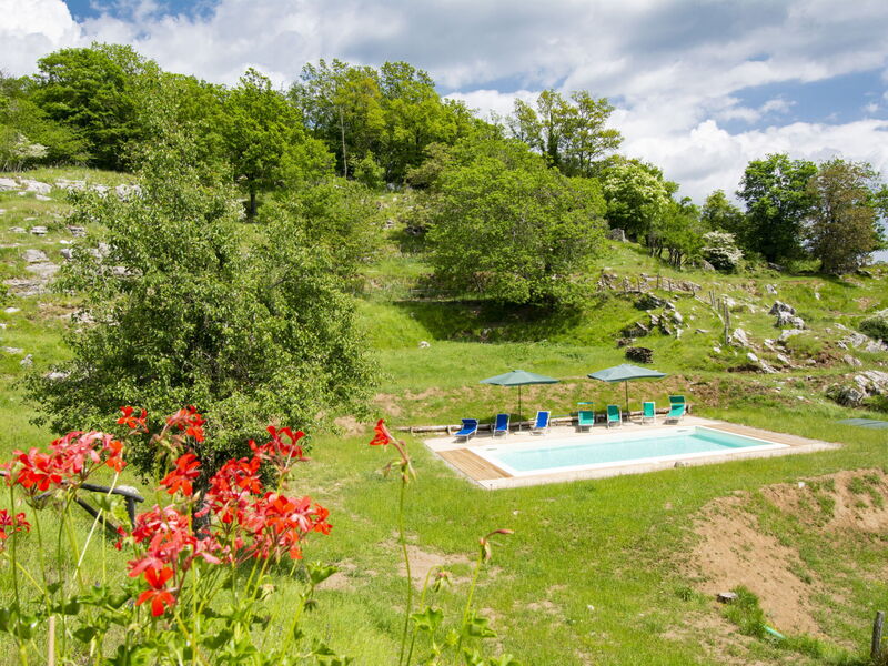 Accommodatie:&nbsp;Paradiso i 627.2