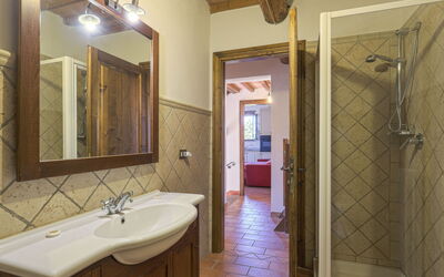 Accommodatie:&nbsp;Podere Sant'anna, Papavero 617.4