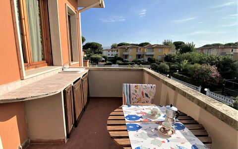 Accommodatie:&nbsp;Palazzeta Iii 609.3