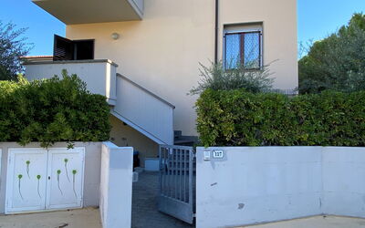 Accommodatie:&nbsp;Palazzeta Iii 609.1