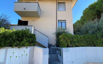 Accommodatie:&nbsp;Palazzeta Iii 609.1
