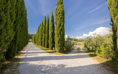 Accommodatie:&nbsp;Podere Tre Termini 609.6