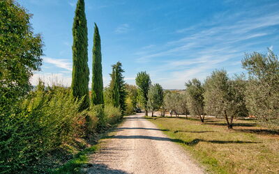 Pienza 609
