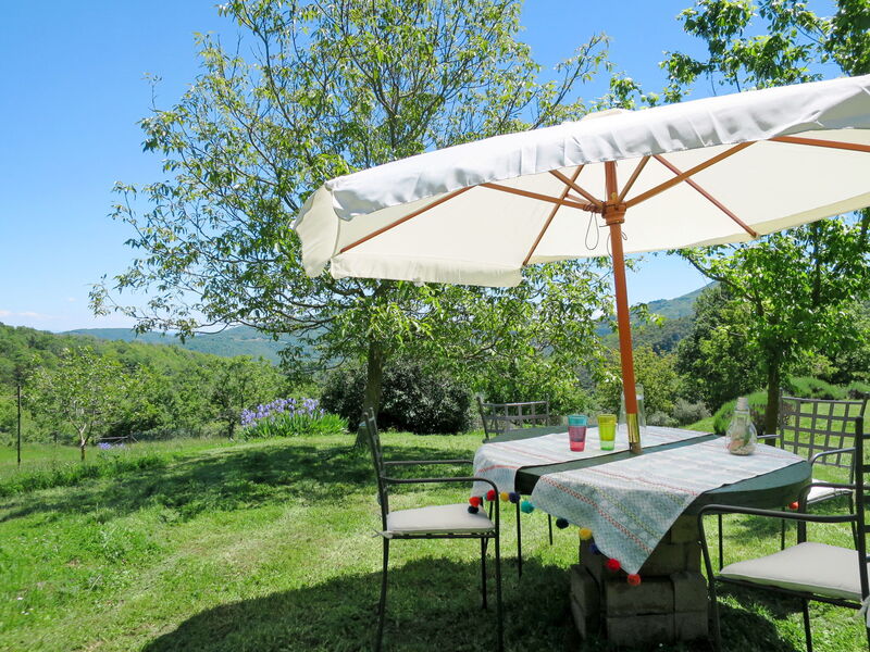 Accommodatie:&nbsp;Villi 609.1