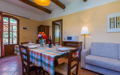 Accommodatie:&nbsp;Daino 626.2