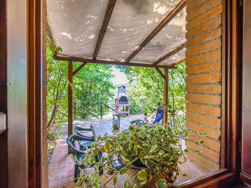 Accommodatie:&nbsp;Falco 626.25