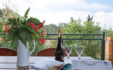 Guardistallo 639: Wolk, Tafel, Eigendom, Lucht, Tableware, Bloem, Meubilair, Fles, Fabriek, Drinkware