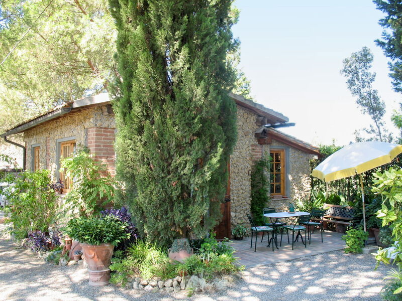 Il Crocino Ii
