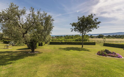 Lago di Bolsena 663: Lucht, Blauw, Gras, Boom, Groen, Natuurlijk Landschap, Landschap, Plain, Struik, Grasland