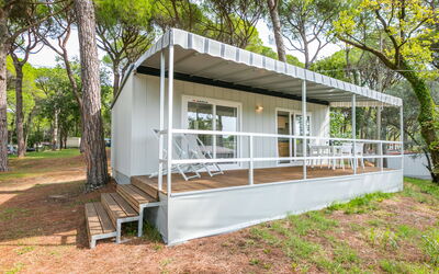 Accommodatie:&nbsp;Belvedere Pineta Camping Village 653.1
