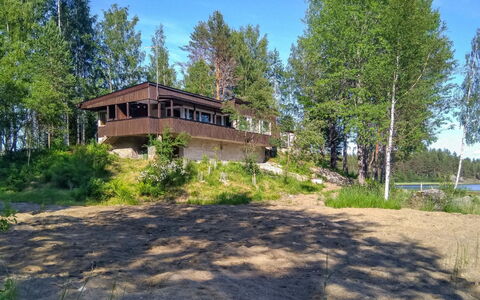Kiviranta: Boom, Land Lot, Verblijf, Landgoed, Blokhut, Lariks, Bos, Evergreen