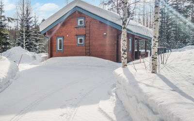 Pihlajapelto