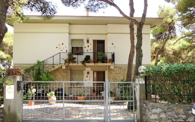 Castiglioncello 705